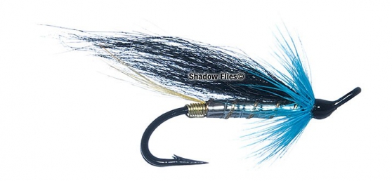 Black and Blue