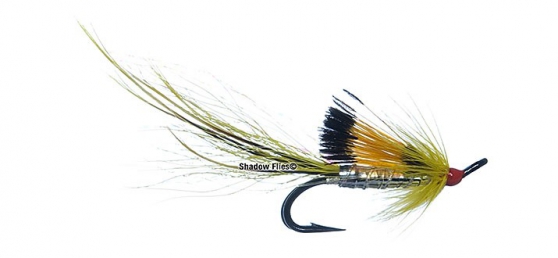 Black Boar-Yellow
