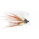 Faughan Shrimp