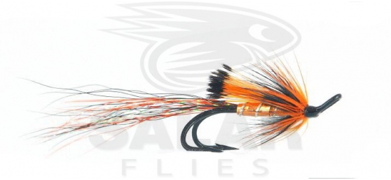 Ally's Copper Shrimp