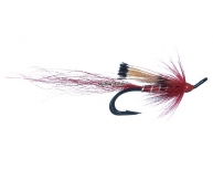 Ally's Shrimp Red