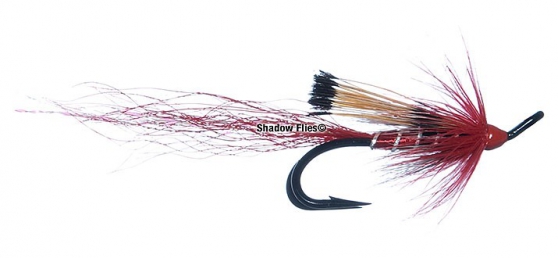 Ally's Shrimp Red