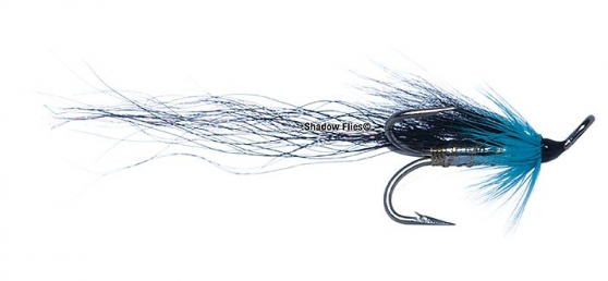 Black and Blue-Longtail