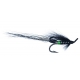 Green Butt-Longtail