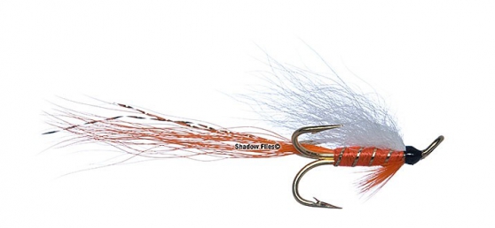 Polar Shrimp-Longtail