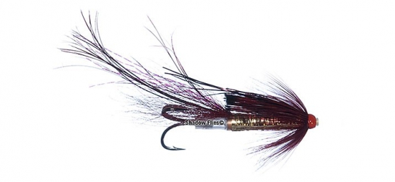 Black Boar-Claret