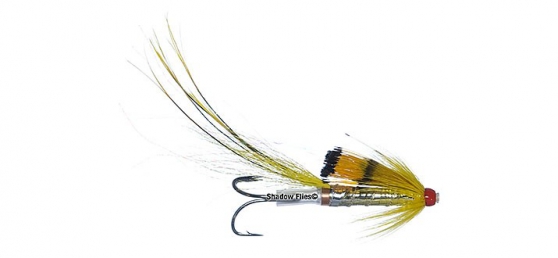 Black Boar-Yellow