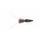 Black Eyed Prawn-Black
