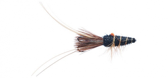 Black Eyed Prawn-Black