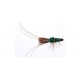 Black Eyed Prawn-Green