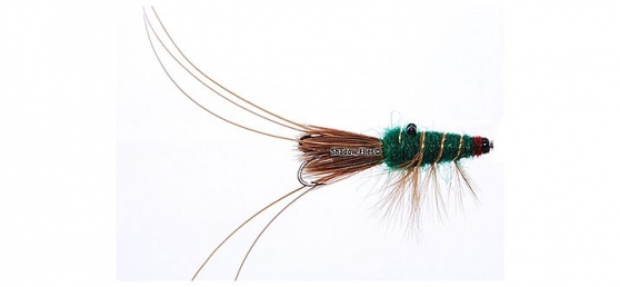 Black Eyed Prawn-Green