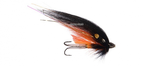 TD-Orange & Gold