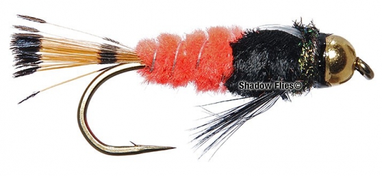 BH-Watson's Fancy-Variant-Fl. Orange