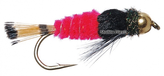 BH-Watson's Fancy-Variant-Fl. Red