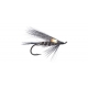 All Black Fly