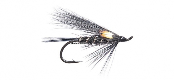 All Black Fly