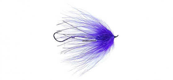 Purple Intruder Leech