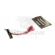 Stripped & Dyed Feather Feelers - Trout