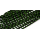 Barred Rubber Legs