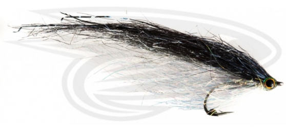 Los Roques Minnow-Grey