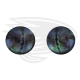 grey frog eye