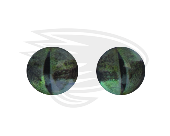 light green frog eye