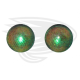 Apis frog eye