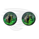 Green frog eye
