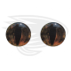 Brown frog eye