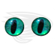 Green frog eye - 2