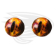 Frog ora eye