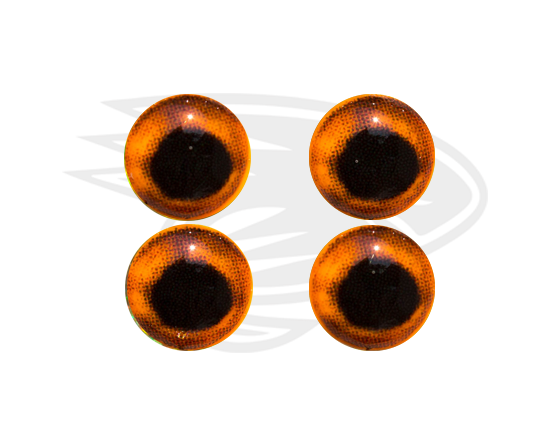 Real eyes 5