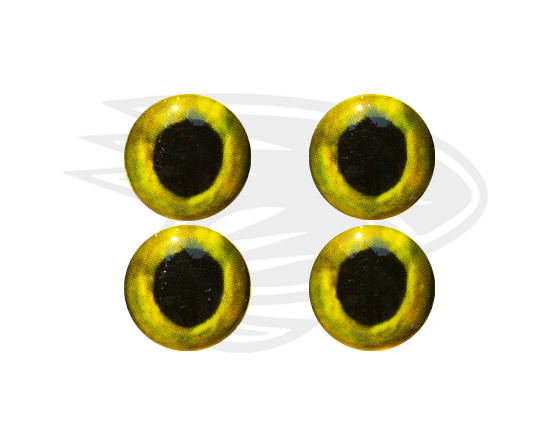 Real eyes 6