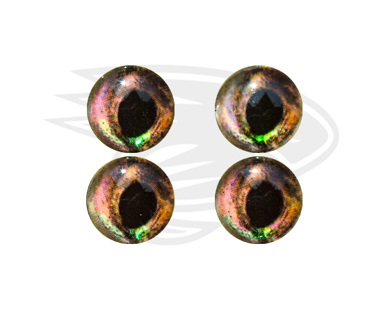 Real eyes 8