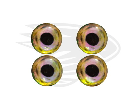 Real eyes 17