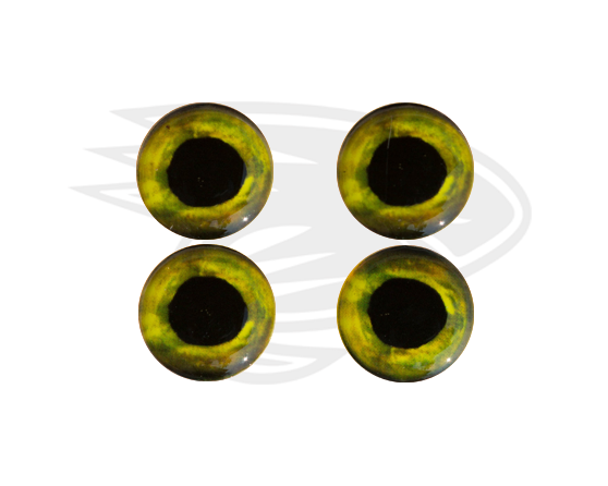 Real eyes 21
