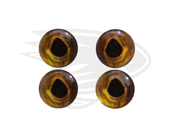Real eyes 24