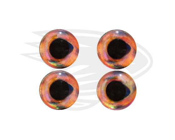 Real eyes 26
