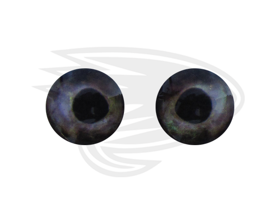 grey brown fish eye