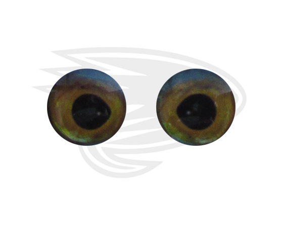 yellow blue fish eye