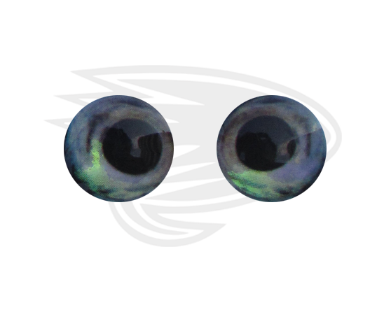 grey light fish eye