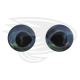 grey blue fish eye 