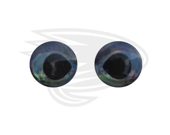 grey blue fish eye 
