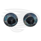 sparkling silver blue fish eye