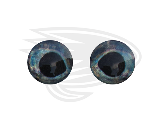 sparkling silver blue fish eye