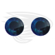 ocean blue fish eye