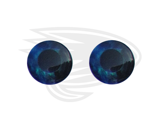 ocean blue fish eye