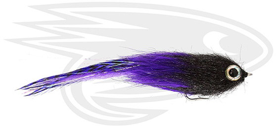 GT-Brush-Purple