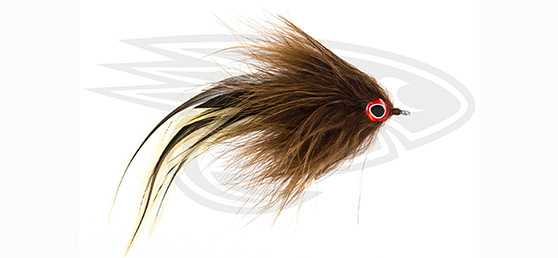 GT-Big Brown