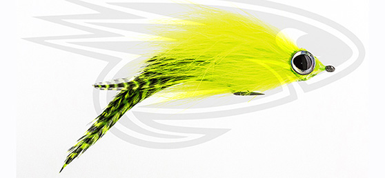 GT-Big Charteuse